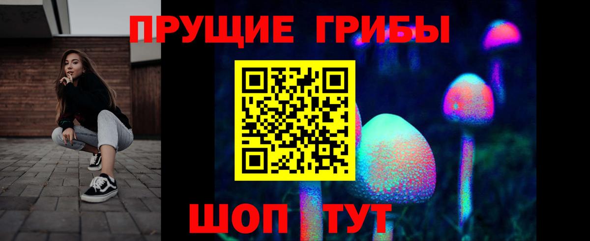 где купить наркотик  Вход с VPN  Энгельс  Псилоцибиновые грибы Cubensis 